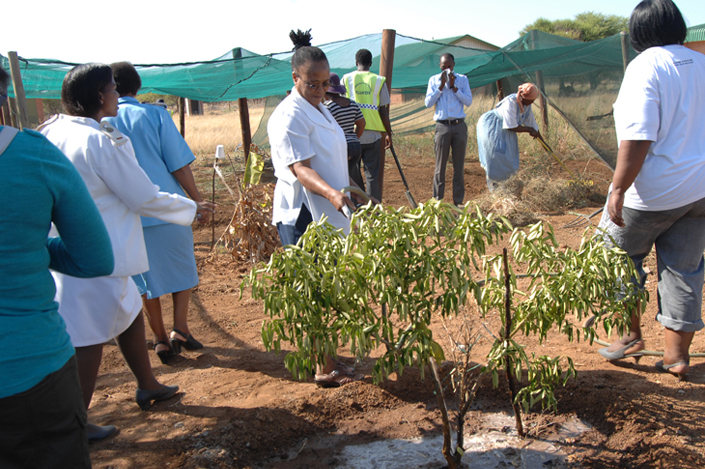 Mmokolodi Vegetable Garden