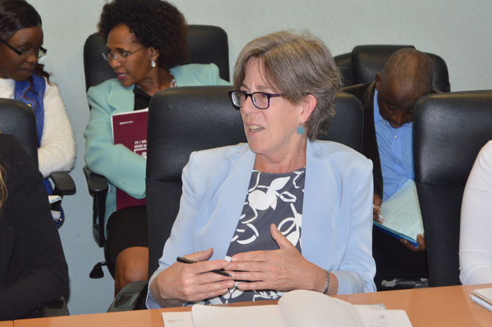 Botswana Global Health interns