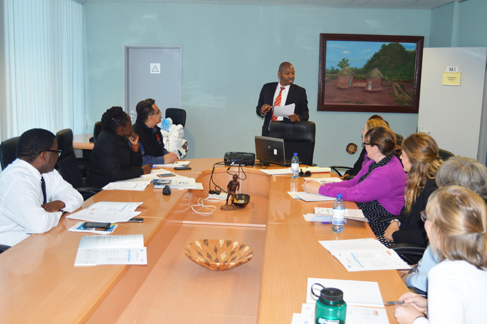 Botswana Global Health interns